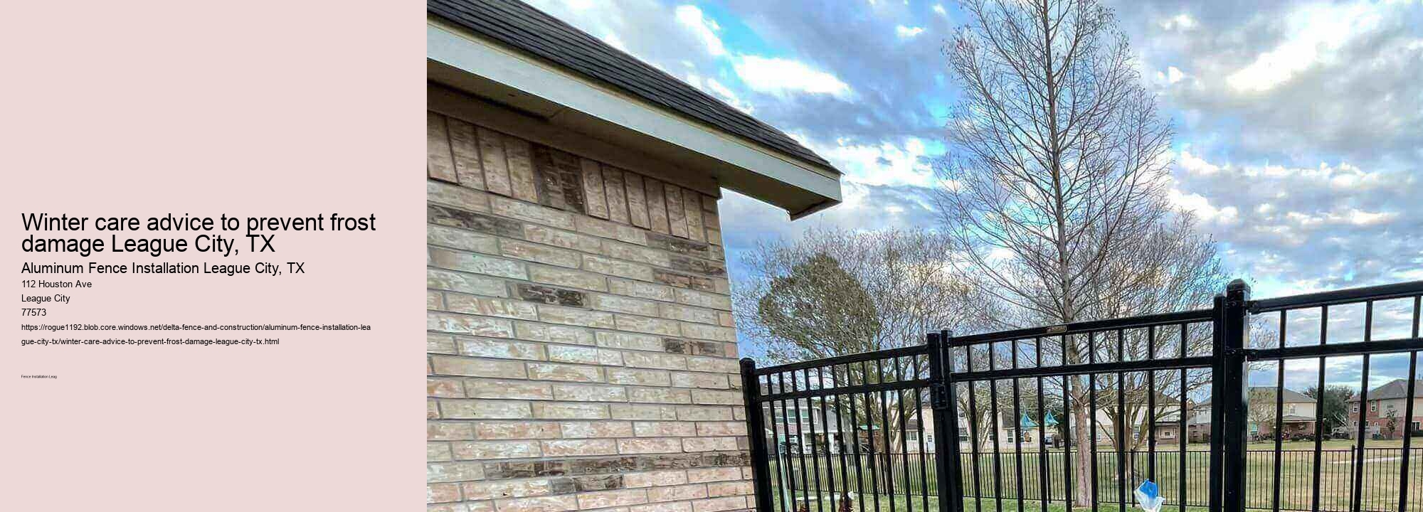 Winter care advice to prevent frost damage League City, TX